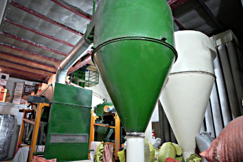 بوجاری آفتابگردان