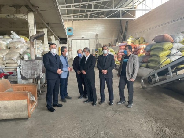 افتتاح مجهزترین واحد تولید تخمه آفتاب گردان و کدو در شهرستان خوی