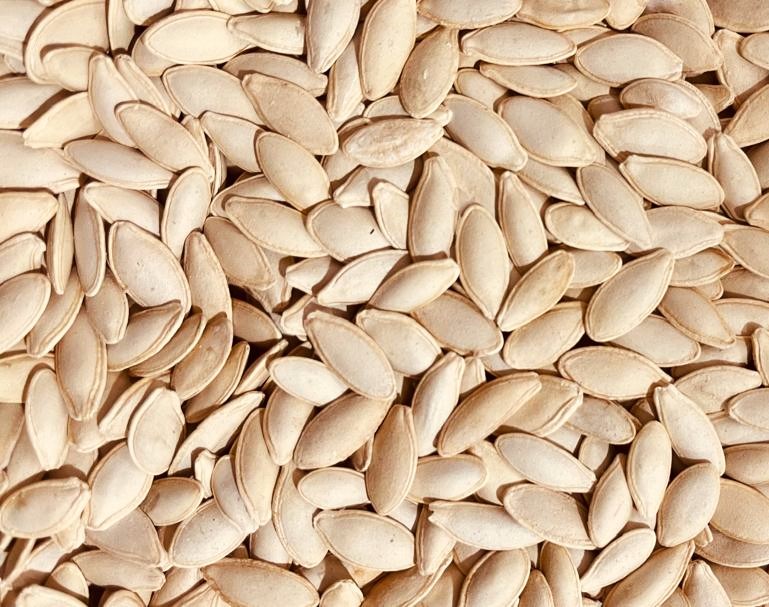 سورت سرندی تخمه آفتابگردان و کدو کارخانه فرآوری تخمه آفتابگردان و کدو