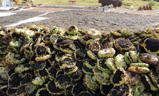 گزارش برنا آذربایجان غربی